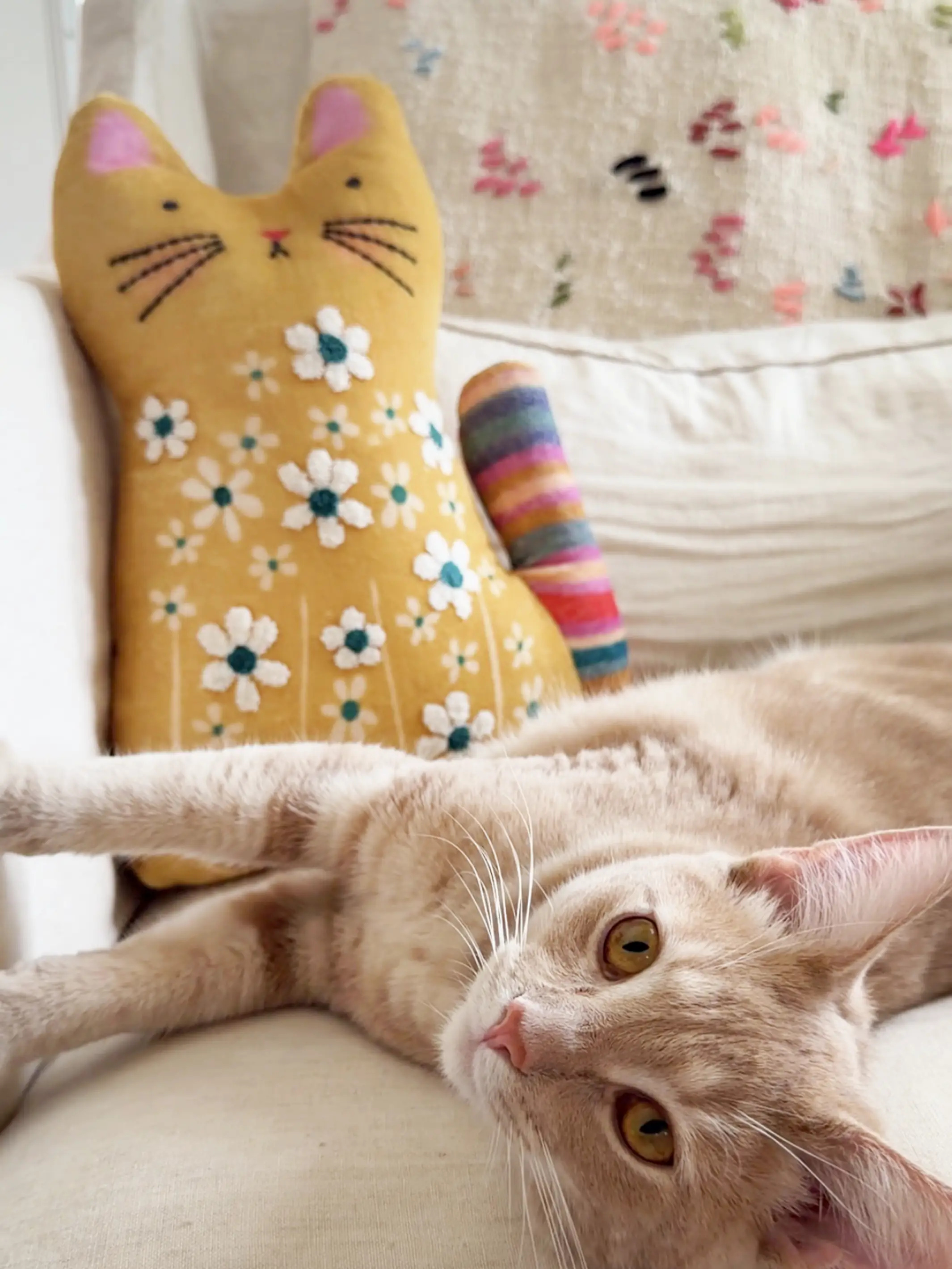Cutest Ever Cotton Velvet Pillow - Cat - Image 3